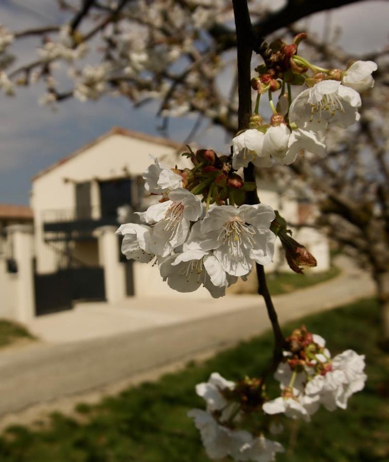 Gites Du Mas De Surlan Chantemerle-les-Bles Exterior photo